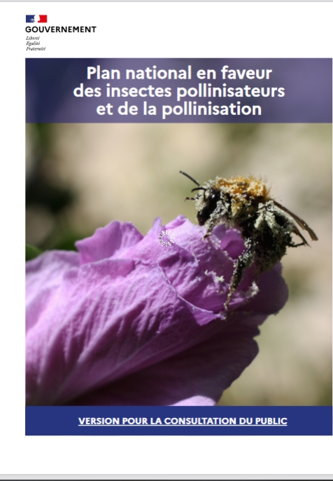 Traiter à l'acide oxalique sans ouvrir la ruche – Syndicat d'Apiculture du  Rhône et Région Lyonnaise